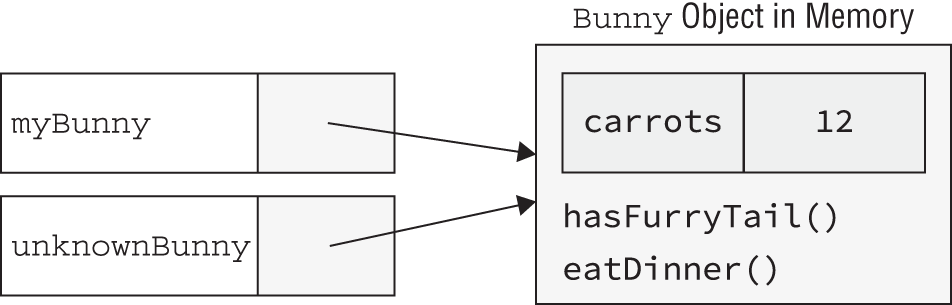 Table represents two reference variables pointing to the same Bunny object in memory.