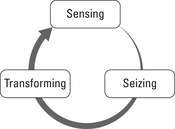 Schematic illustration of the dynamic capabilities.