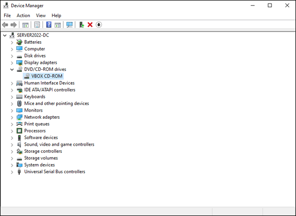 Snapshot of Device Manager on Windows Server 2022 will look familiar to those who have worked with Windows in the past.