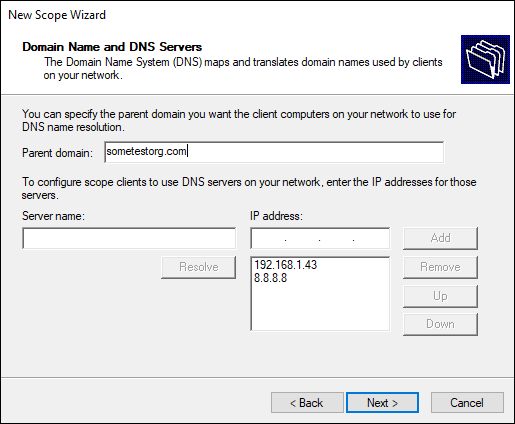 Snapshot of Setting the domain name and DNS servers in the DHCP Scope Options.
