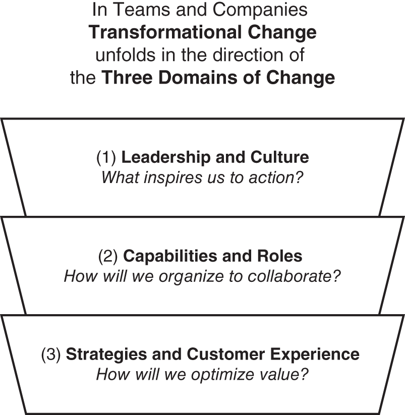 Schematic illustration of Transformational Change and the Three Domains of Change