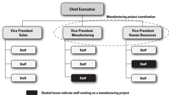 Schematic illustration of a functional structure for administering projects.