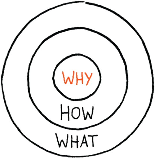 Schematic illustration of asking why, how, and what.