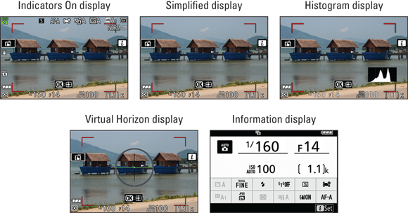 Snapshot shows during photo shooting, press the DISP button to cycle through these monitor displays.