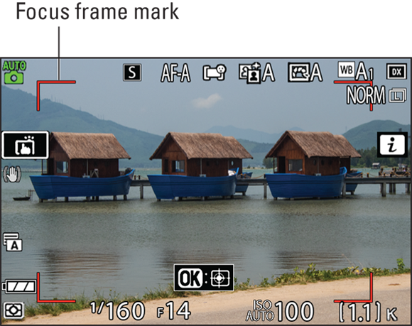 Snapshot shows Compose the shot so that your subject is within the area bounded by the red framing marks.