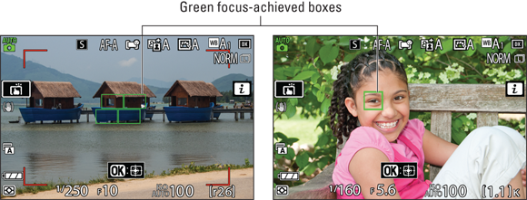 Snapshot shows Wait for the green focus box(es) to appear before pressing the shutter button all the way.