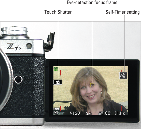 Snapshot shows the Self-Portrait mode, simplified display is shown.