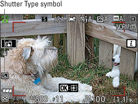 Snapshot shows the Shutter Type symbol bears the label SL when Silent Photography is turned on.