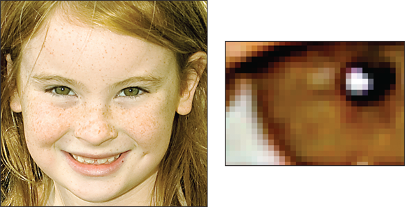 Snapshot shows Pixels are the building blocks of digital photos.