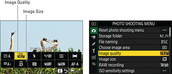 Snapshot shows adjust Image Size and Image Quality via the i menu or Photo Shooting menu.