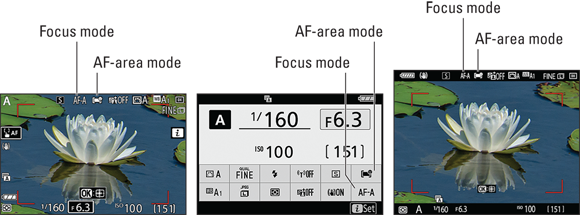 Snapshot shows the symbols represent the default Focus mode and AF-area mode settings.