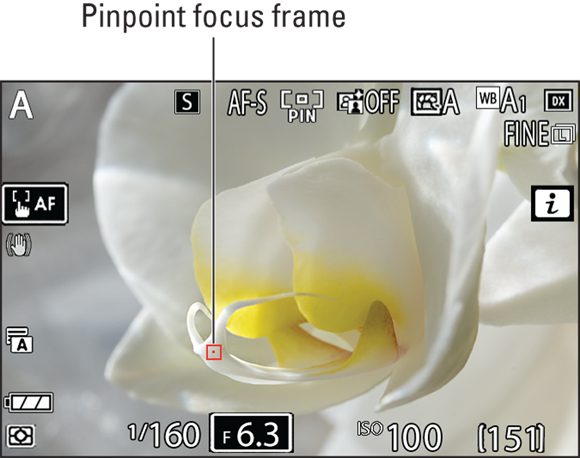 Snapshot shows Use AF-S plus Pinpoint AF-area mode to focus on a detail in a closeup.