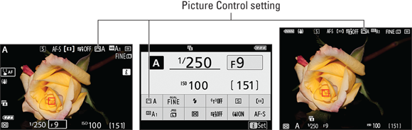 Snapshot shows the symbol represents the Picture Control setting.