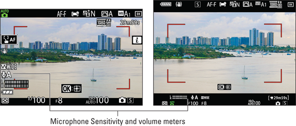 Snapshot shows the symbols indicate the Microphone Sensitivity setting and volume level.