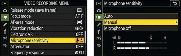 Snapshot shows one way to establish microphone sensitivity is via the Video Recording menu.