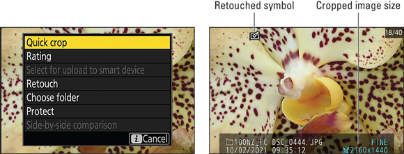 Snapshot shows While a photo is magnified, choose Quick Crop from the i menu (left) to create a new image that contains only the area visible in the zoomed view (right).