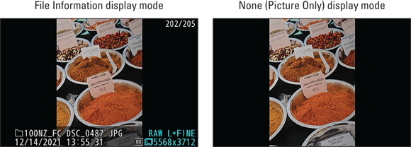 Snapshot shows the normal Playback mode is File Information display (left); hide data by switching to None (Picture Only).