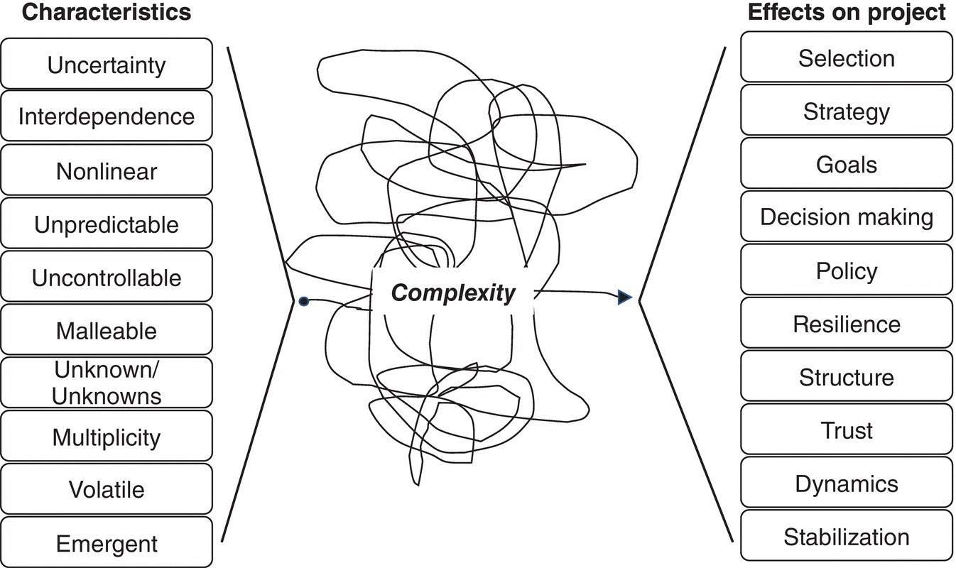 Schematic illustration of complexity characteristics and effects.