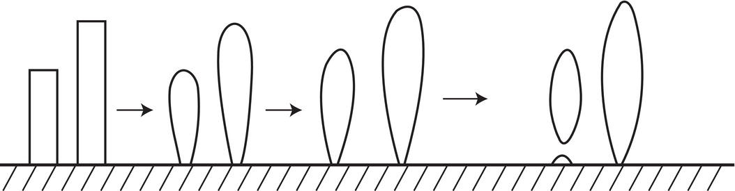 Schematic illustration of dendrite coarsening.