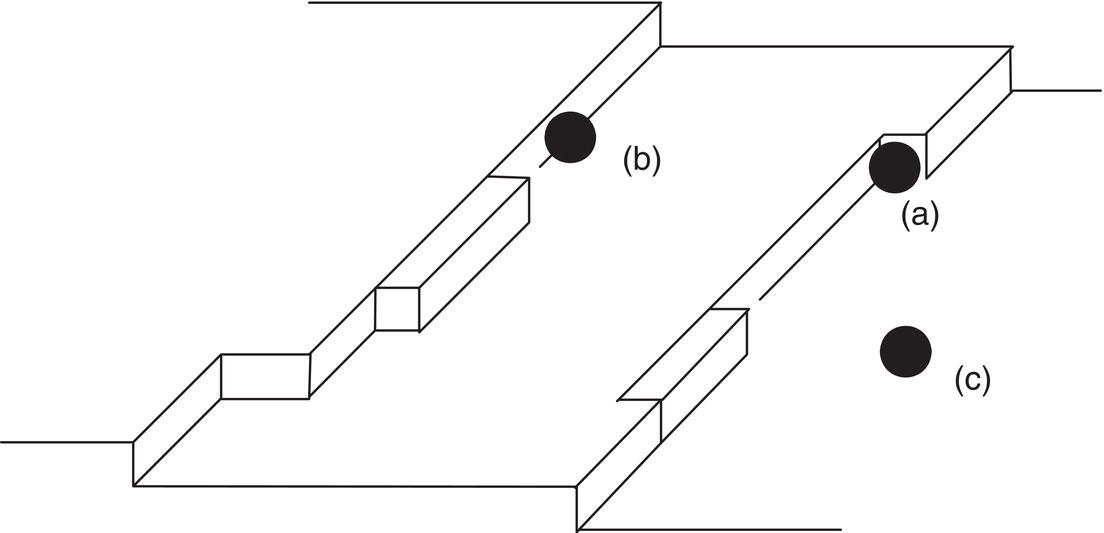 Schematic illustration of distinct adsorption sites for additives and impurities: (a) kink, (b) step, and (c) ledge.