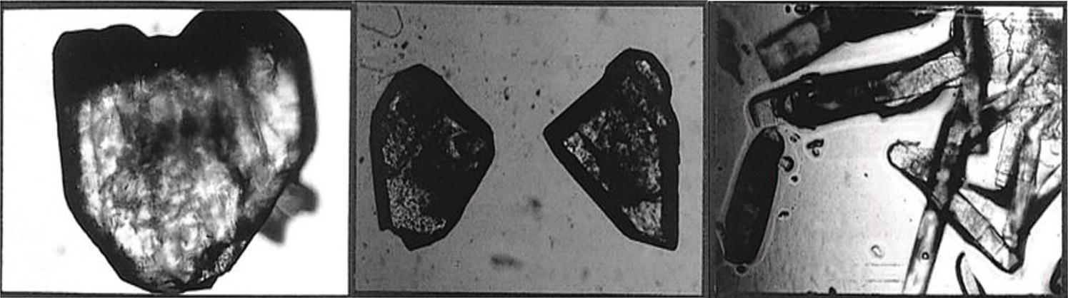 Schematic illustration of low levels of impurity can affect crystal morphology.