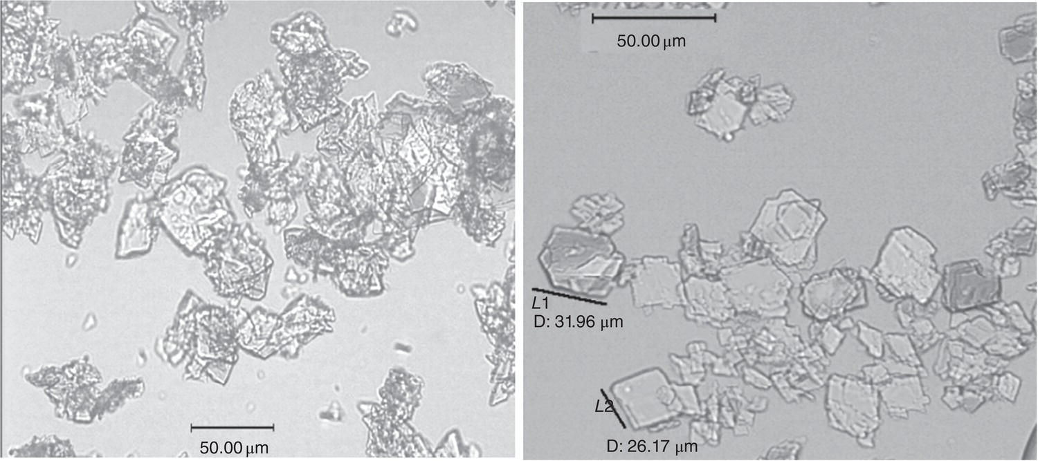 Schematic illustration of crystallization with (left) and without (right) agglomeration.