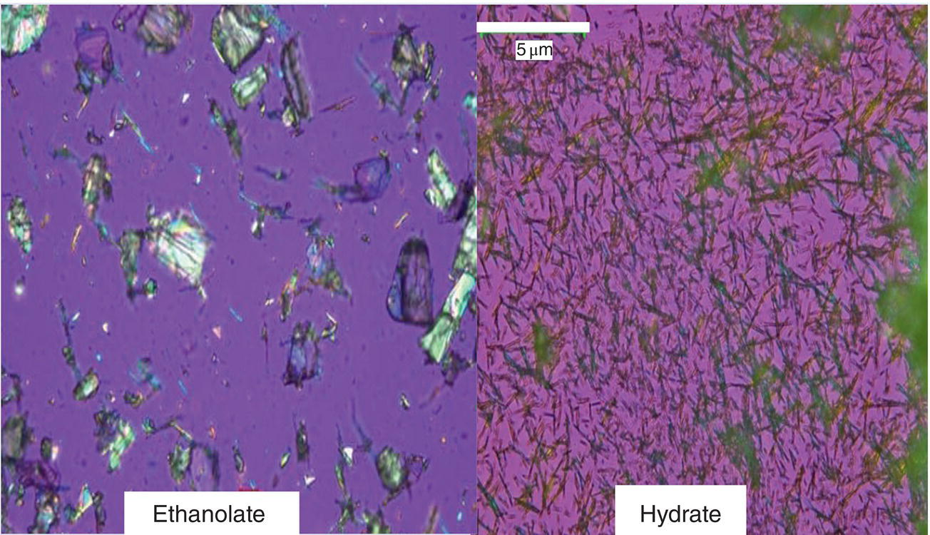 Schematic illustration of microscopic photo of crystals (left: ethanolate, right: hydrate).