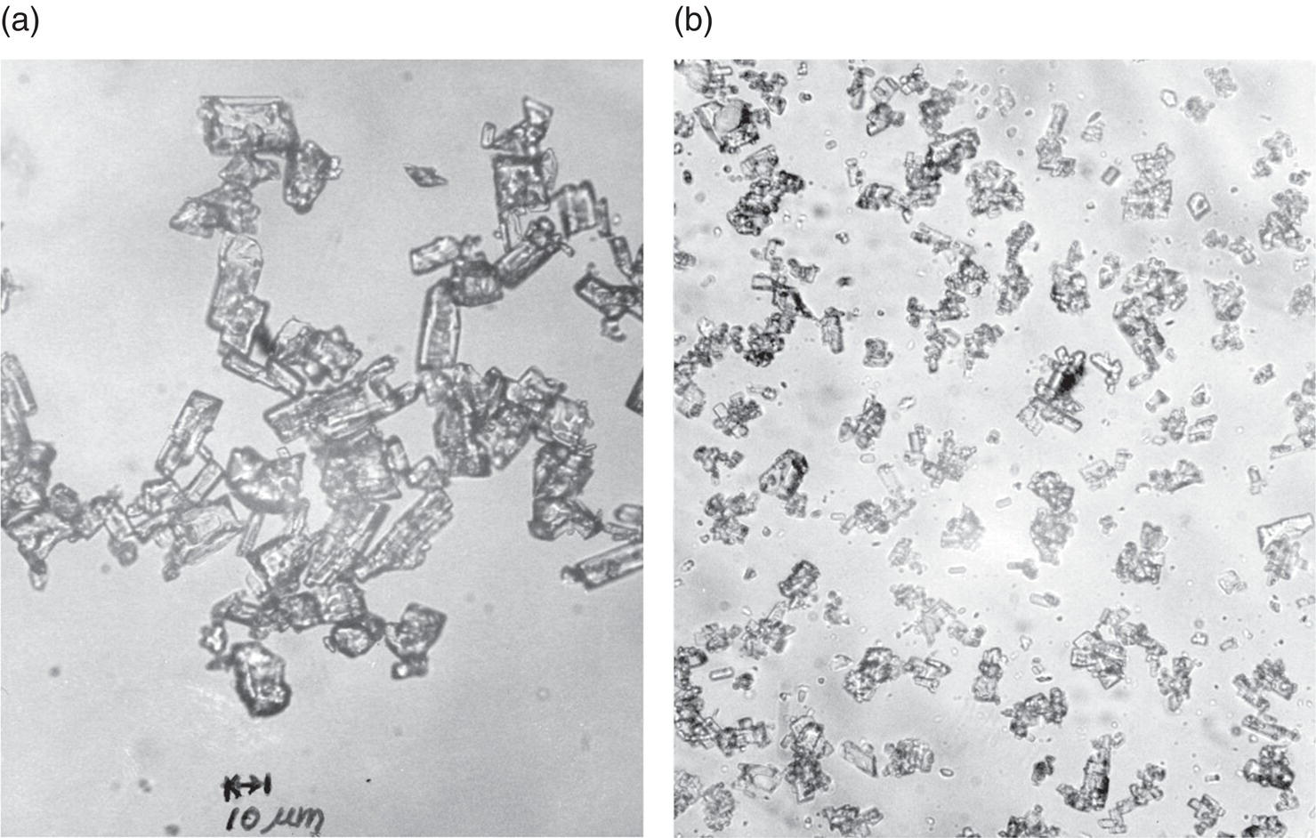 Schematic illustration of microscopic photos of (a) direct jet and (b) recycle jet crystals.