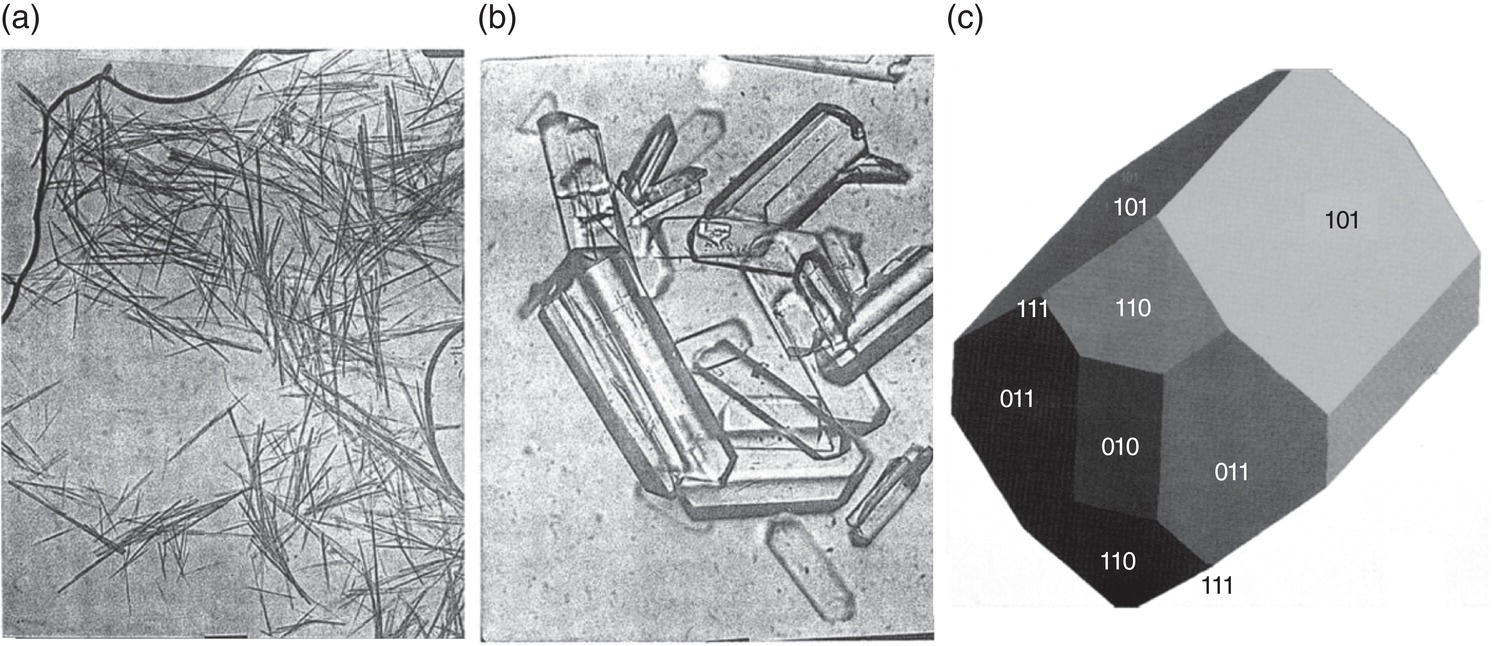 Schematic illustration of (a) Needles from the reactive crystallization (b) Crystals after growth from the needles on the left and (c) Crystals of the API as predicted from crystallographic model.