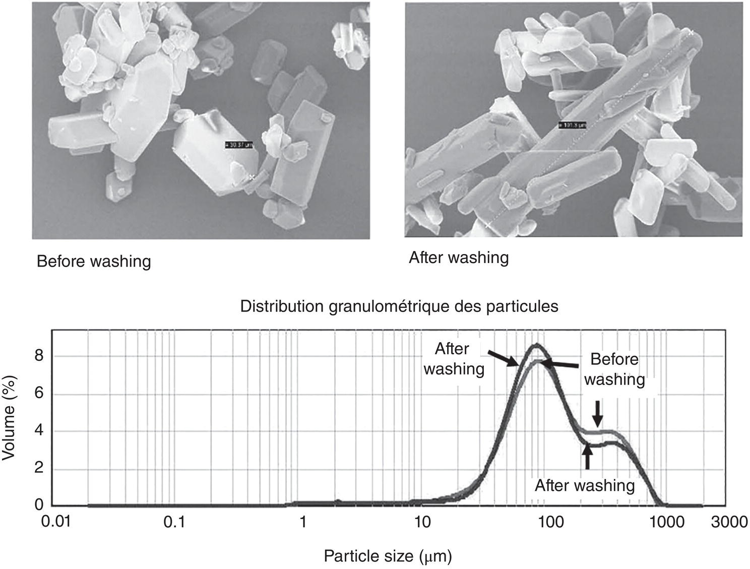 Schematic illustration of particle image and size distribution before and after the washing.