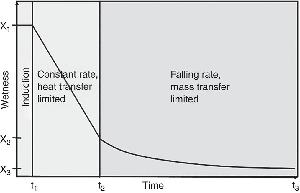 Schematic illustration of drying profiles: induction, constant rate, and falling rate stages.