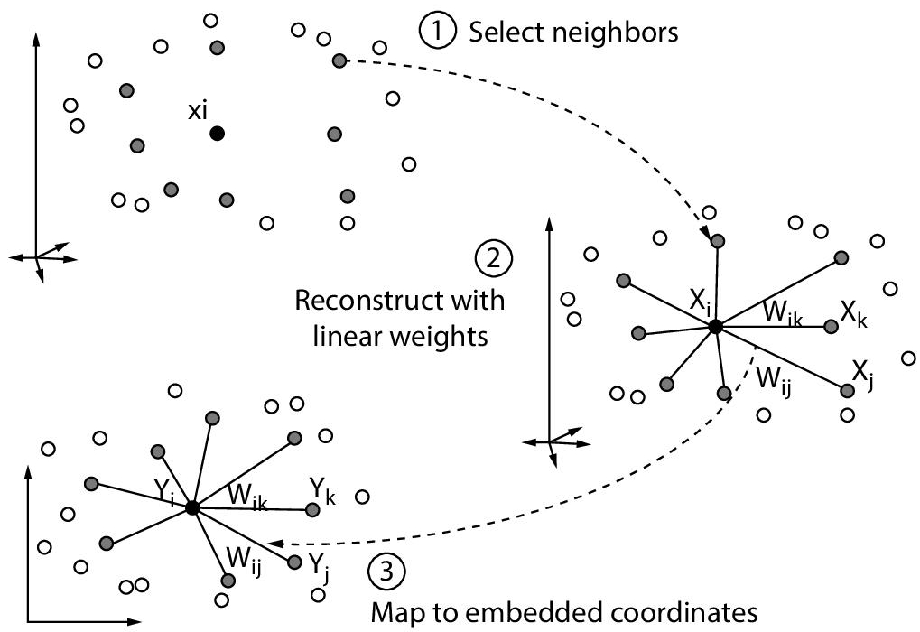 Schematic illustration of working of LLE.