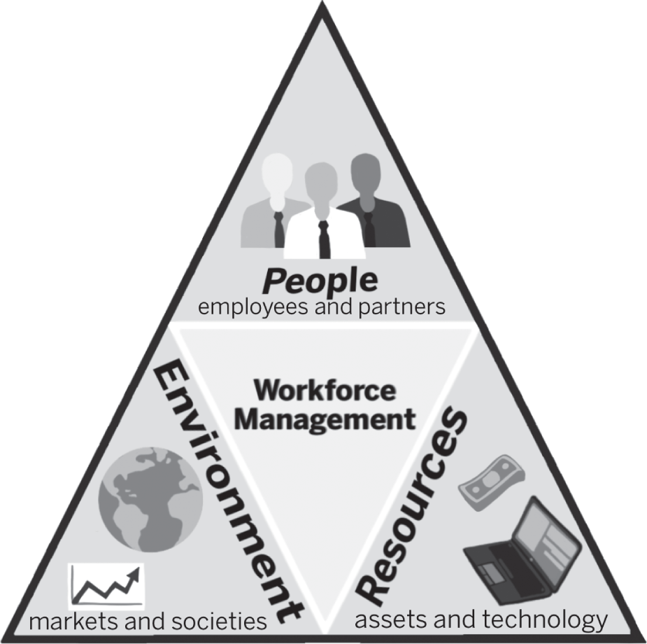 Schematic illustration of elements that drive organizational performance.