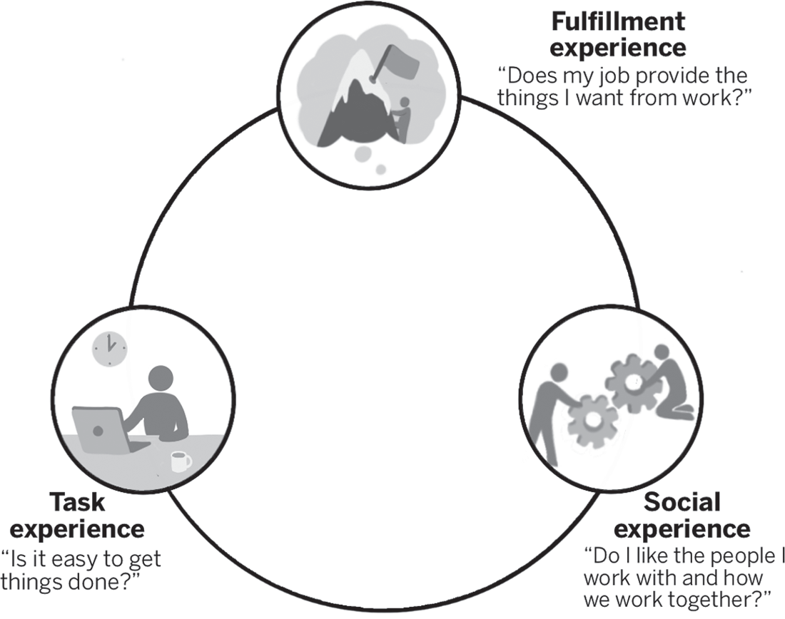 Schematic illustration of types of employee experience.