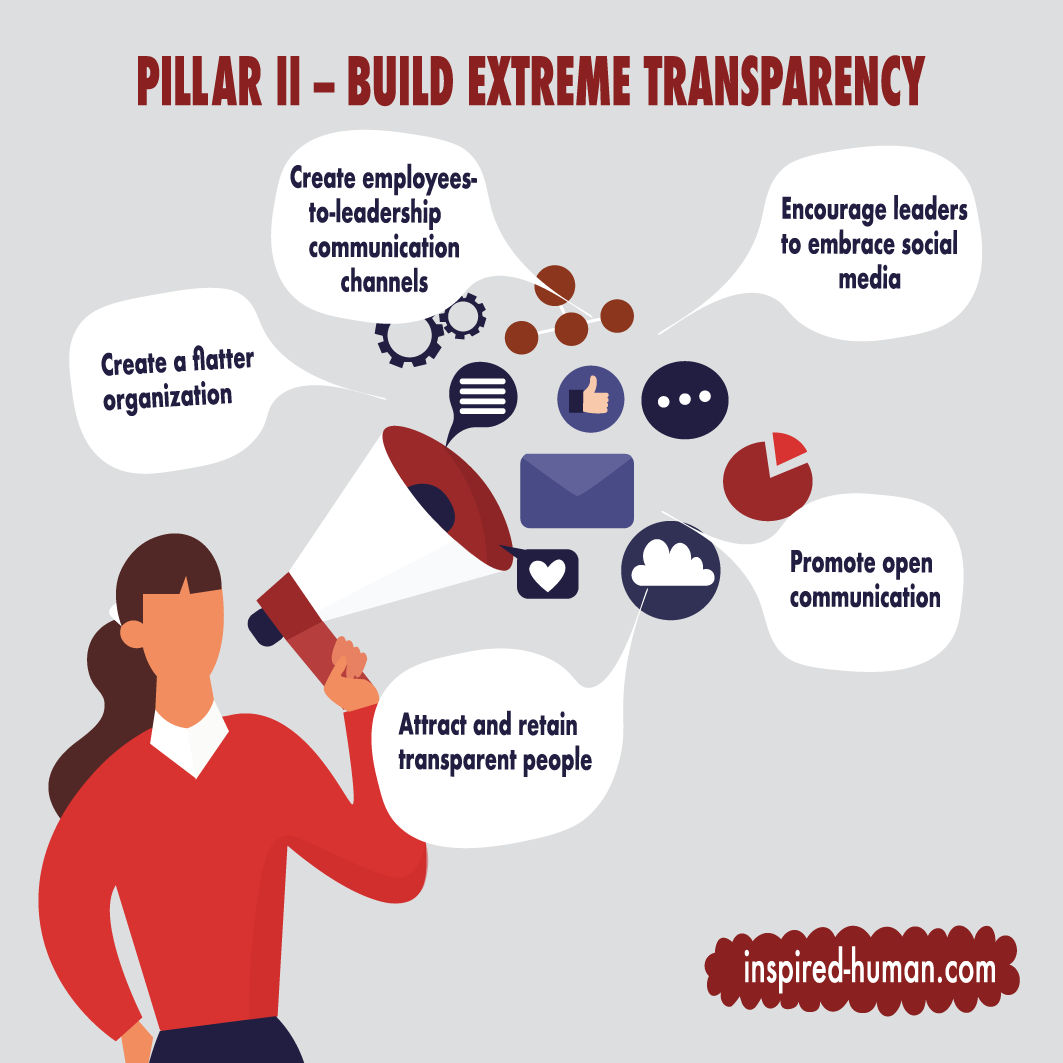 Schematic illustration of Pillar II – Build extreme transparency.