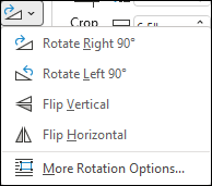 Snapshot of rotate or flip a graphic.