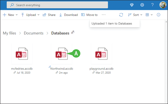 Snapshot of the file in one drive space.