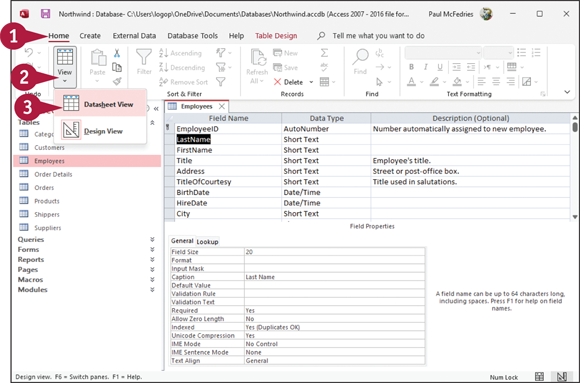 Snapshot of datasheet view.