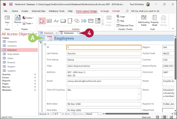 Snapshot of access creates a form.