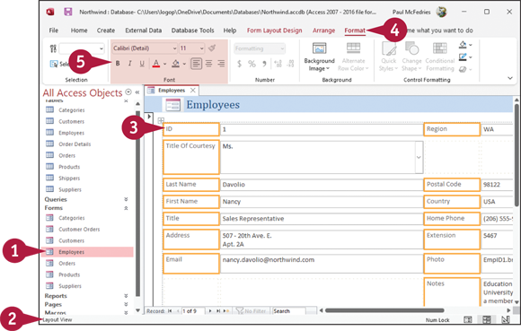 Snapshot of format form fields.