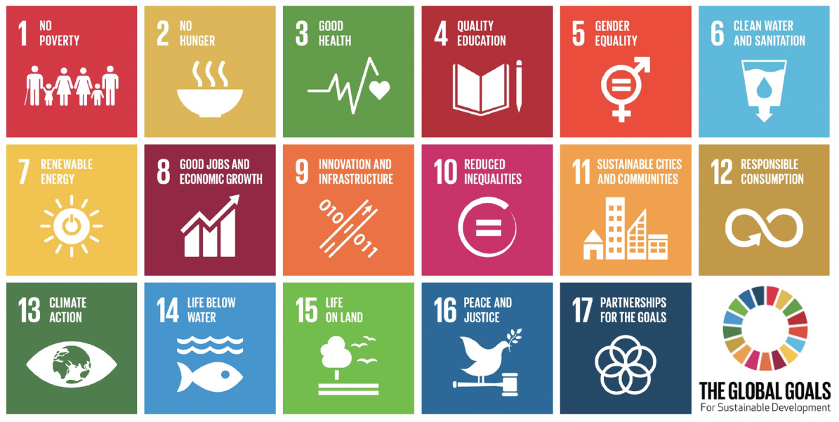 Snapshot of the Sustainable Development Goals.