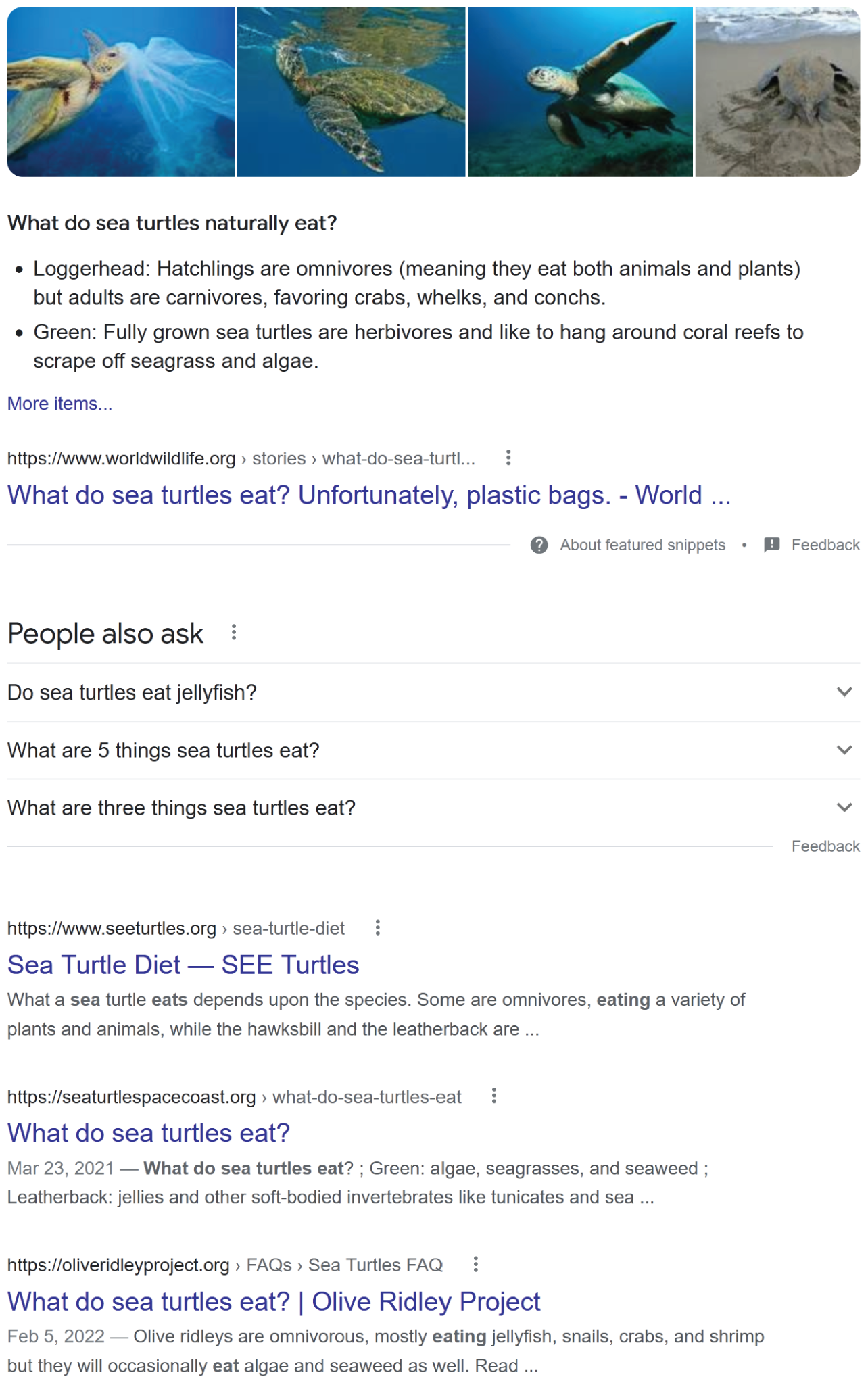 Snapshot of Google SERP