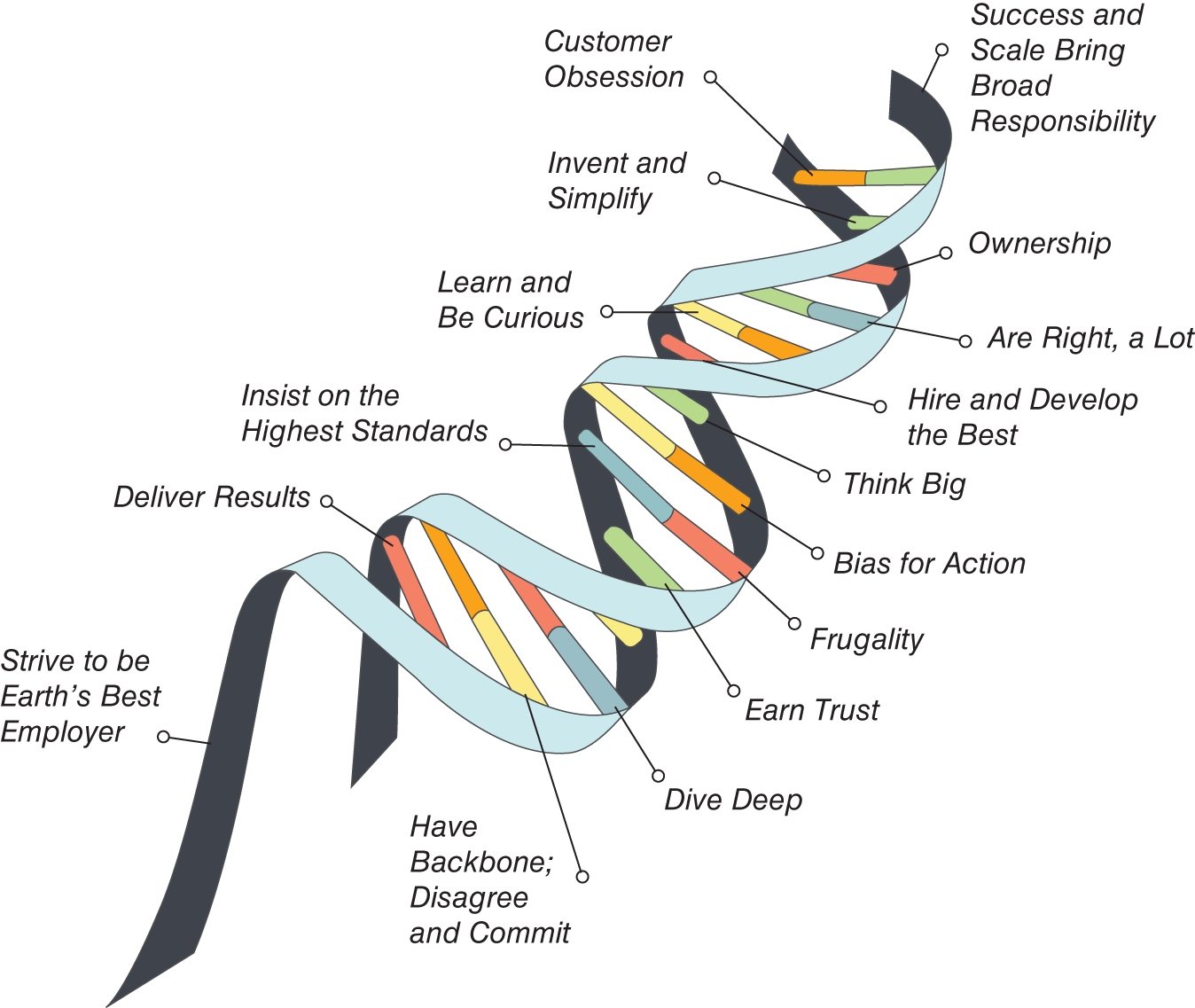 Schematic illustration of Amazon's leadership principles.