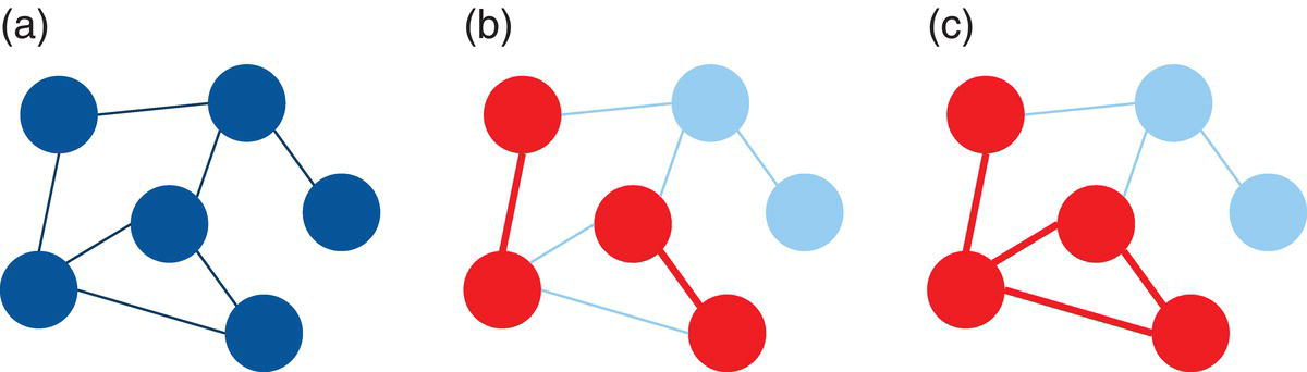 Schematic illustration of (a) graph (b) Subgraph (c) Induced graph.