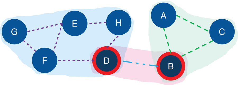 Schematic illustration of input graph with the identified biconnected components and the articulation point nodes.