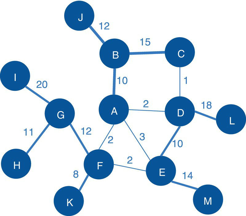 Schematic illustration of input graph with undirected weighted links.