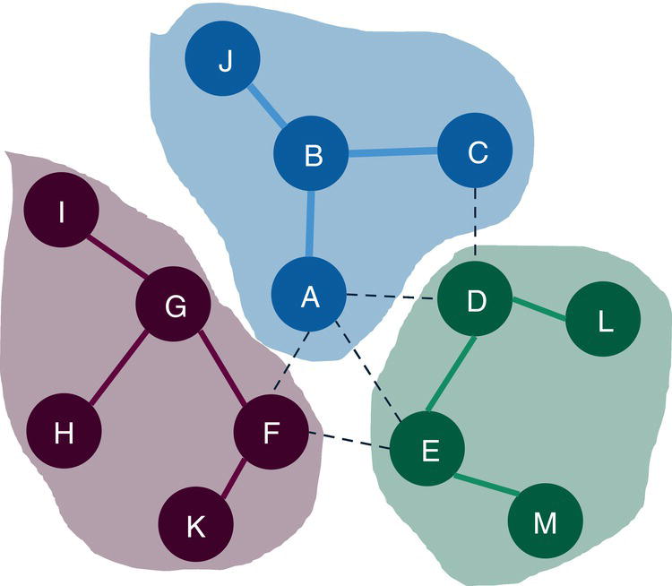 Schematic illustration of communities identified by the Louvain algorithm.