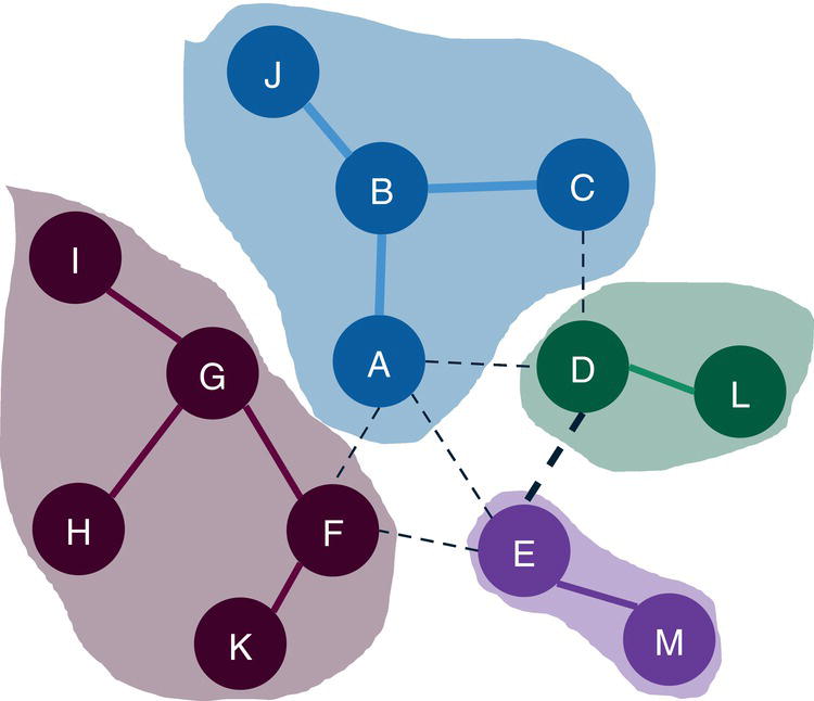 Schematic illustration of communities identified by the label propagation algorithm.