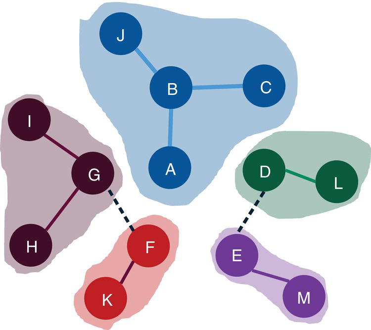 Schematic illustration of communities identified by the label propagation algorithm with the recursive option.