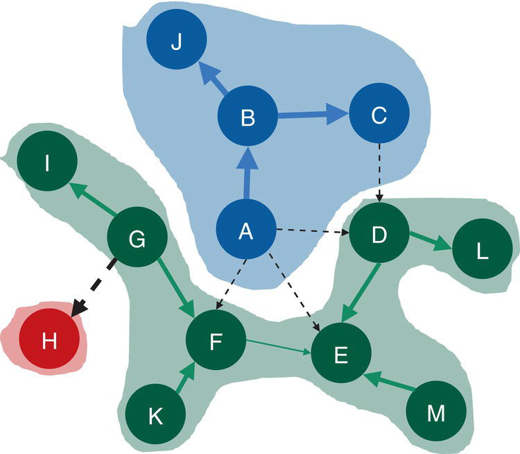 Schematic illustration of communities identified by the parallel label propagation algorithm based on a directed input graph.